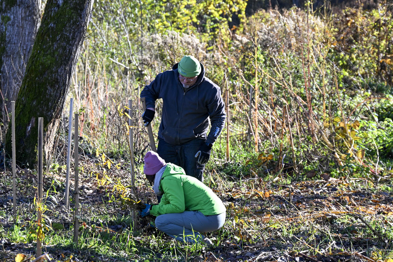 Bioverbund Kleinschmid+Kammerer