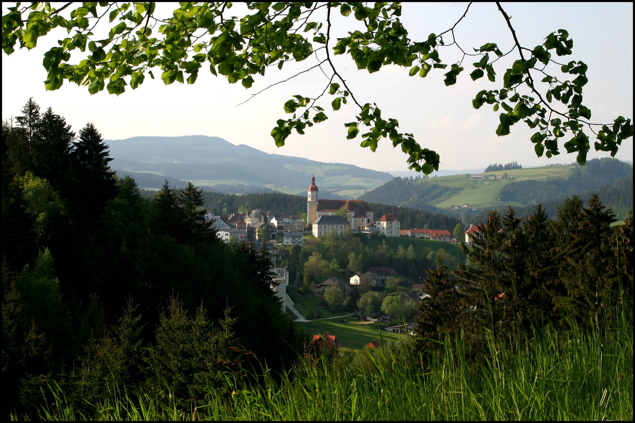 Blick über ein Tal zum Birkfelder Zentrum