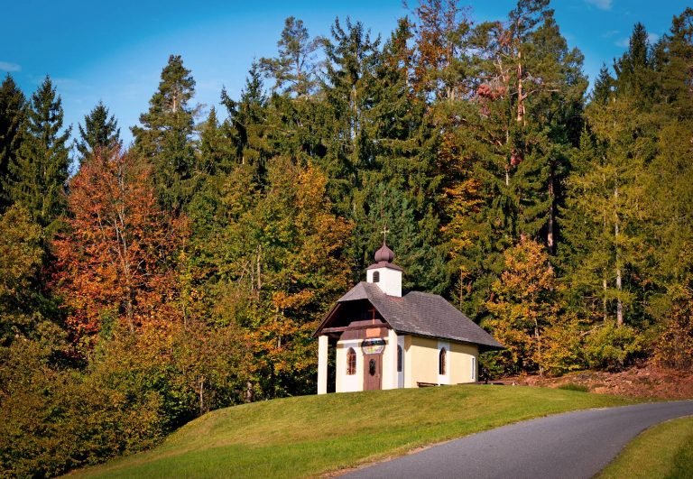 Das Bild zeigt die Kapelle Hohenau am Waldesrand