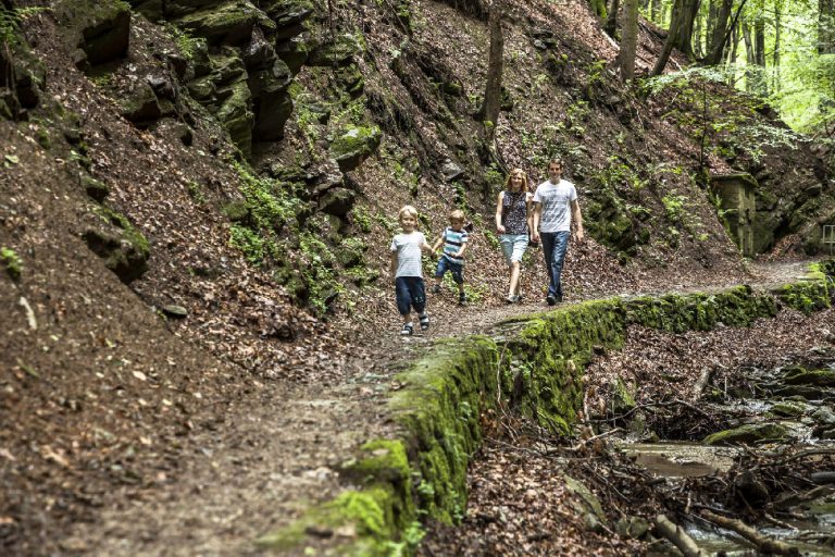 Eine Familie wandert durch einen Wald. Der Weg führt einen steilen Hang entlang