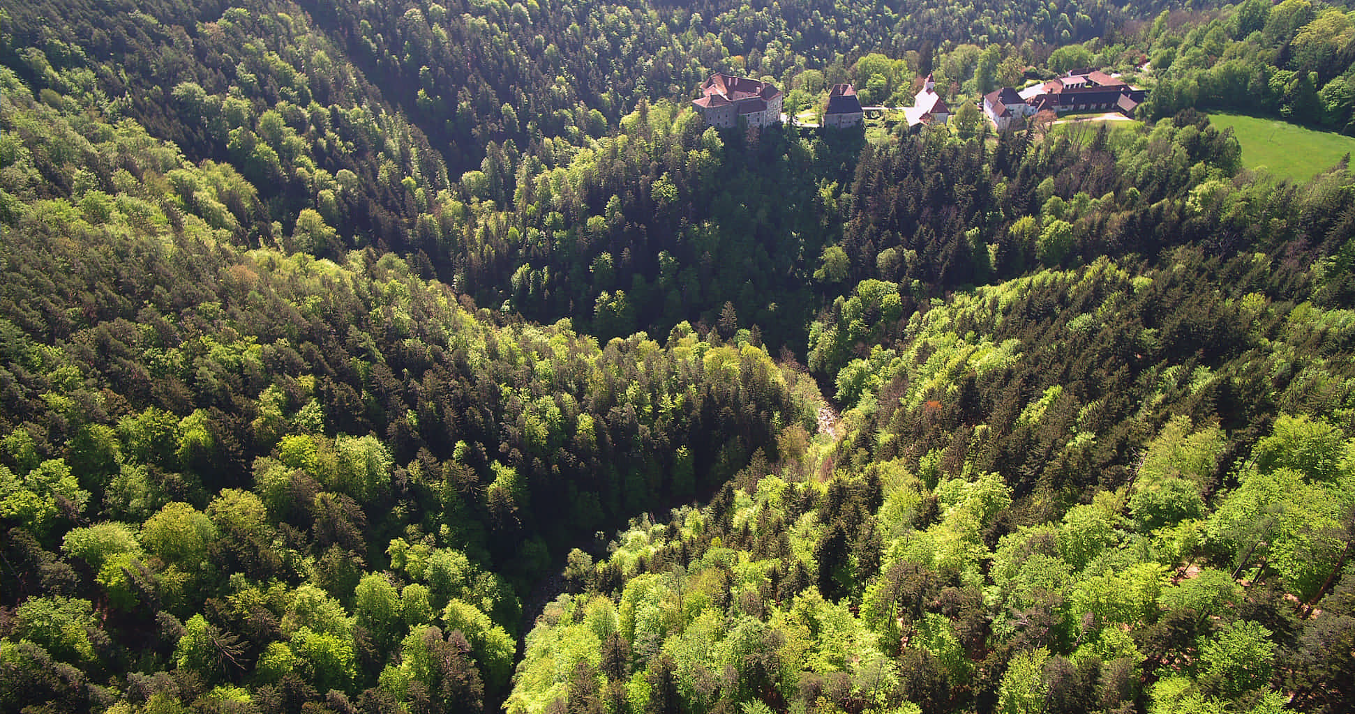 Luftaufnahme der Raabklamm mit Schloss Gutenberg