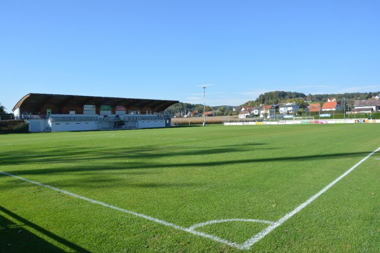 Das Bild zeigt einen Fußballplatz