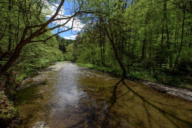 Blick durch die kleine Raabklamm, welche bei Mitterdorf ihren Endpunkt hat. Sie verläuft im abgebildeten Abschnitt relativ flach