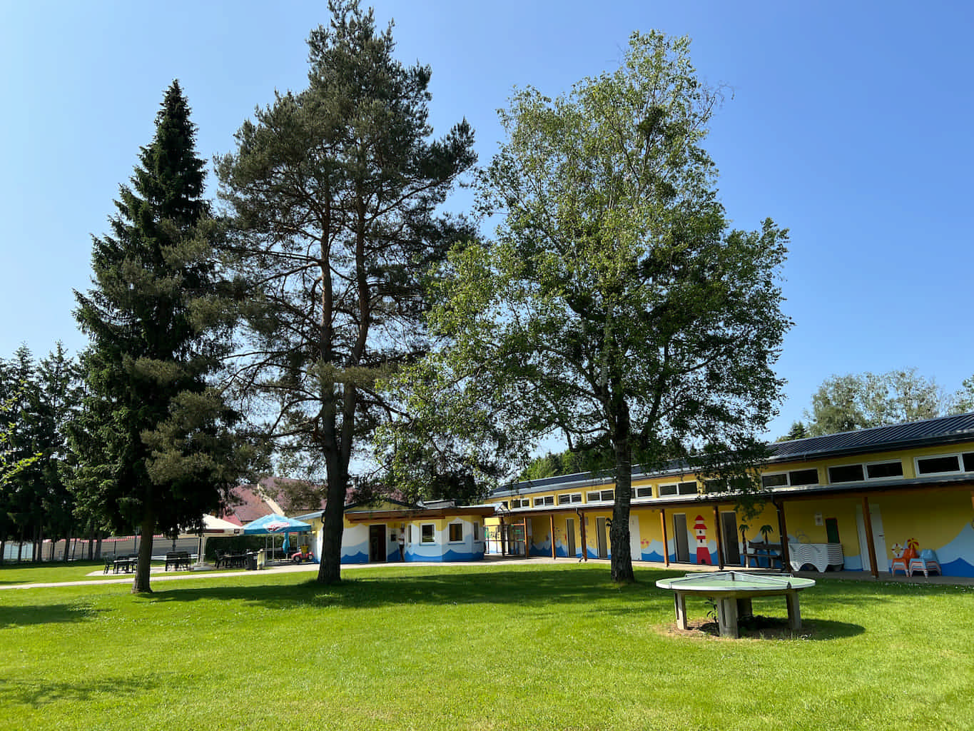Liegewiese im Freibad mit großen Bäumen, die Schatten spenden